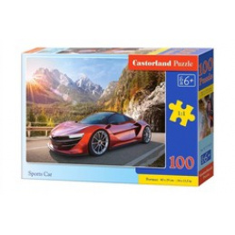 Puzzle 100 buc. Mașină sport universală