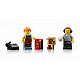 LEGO® Icons 11379 Librărie: Sanctuarul cărților