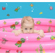 Aga Piscină pentru copii DS2803-PI 130x42 cm