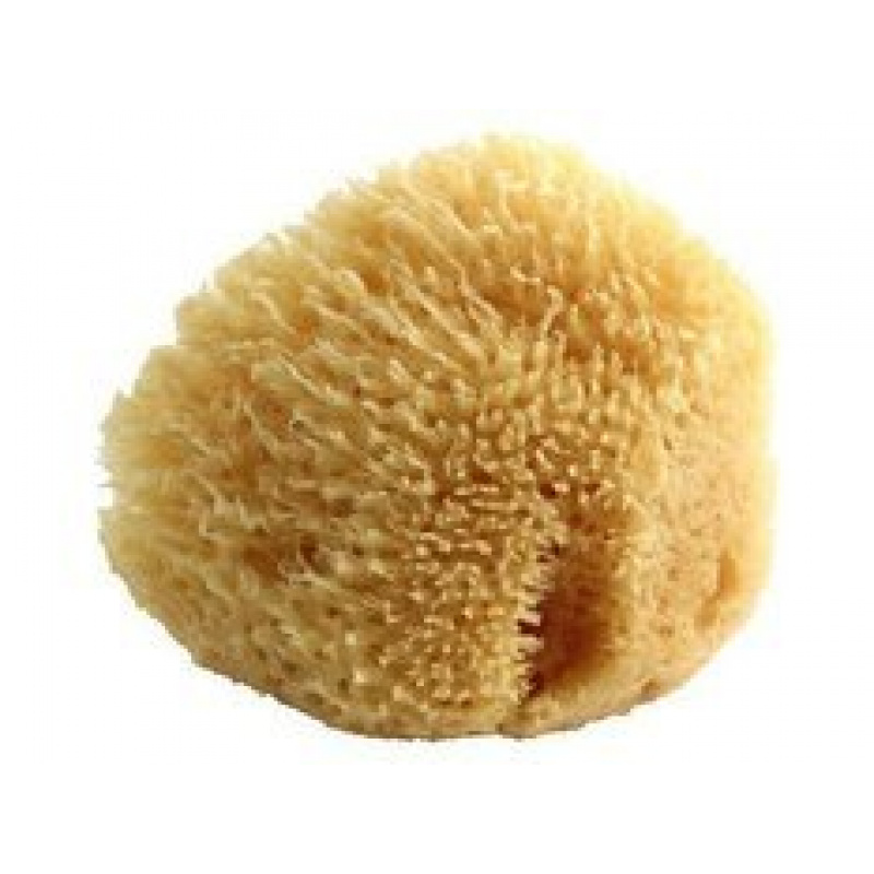 Burete de mare natural POUPY