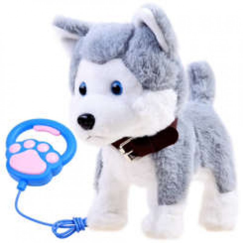 Husky interactiv pe lesă 6DZ065 - II. CALITATE