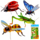 Puzzle 3D Insecte ZA0229
