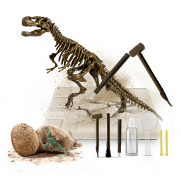 Aga4Kids Set pentru micii paleontologi T-Rex