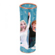 Penar școlar Frozen