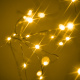 Aga LED Decorativ Sârmă 10m 100 LED Alb Cald