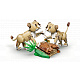 LEGO® Creator 31386 Animale sălbatice: Leu maiestuos