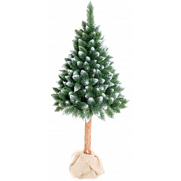 Aga Pom de Crăciun 160 cm cu trunchi