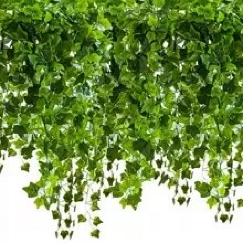 Iederă artificială cu frunze mici suspendată 50,4 m Gardlov 19737
