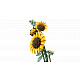 LEGO® Botanicals 11502 Buchet de florile-soarelui