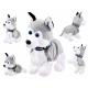 Husky interactiv ZA1333