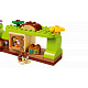 LEGO® DUPLO Town 10480 Pădurea descoperirilor cu animale sălbatice