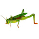 Puzzle 3D Insecte ZA0229