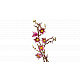 LEGO® Botanicals 11510 Crengu?e de magnolie