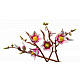 LEGO® Botanicals 11510 Crengu?e de magnolie