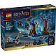 LEGO® Harry Potter™ 76475 Pădurea Interzisă: Expecto Patronum