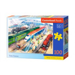 Puzzle 100 buc. Gara universală