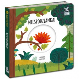 Căpitanul Știință Roata Magică. Surpriză! KS0674 universal