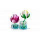 LEGO® Botanicals 11511 Nuferi