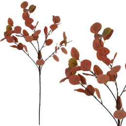 Ramură de eucalipt - nuanțe de maro - 90 cm
