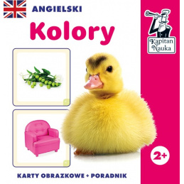 Joc educativ "Engleză culori" pentru copii 2+ Învățarea limbii engleze + Învățarea denumirilor culorilor