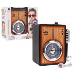 Amplificator cu Funcție Bluetooth + Microfon