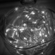 Aga LED Decorativ Fir 10m 100LED Alb Rece