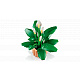 LEGO® Botanicals 11504 Crinul păcii
