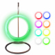 Aga Scaun suspendat luminos RGB DS541