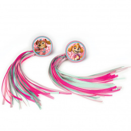 STREAMER FETELE PAW PATROL