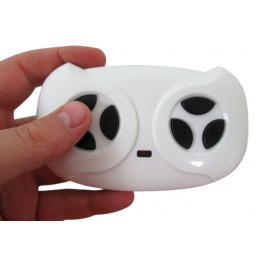 Pilot 2.4 G, Vehicul cu acumulator, Accesorii, model pentru GTR-s