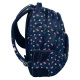 Rucsac școlar Paso Fruits