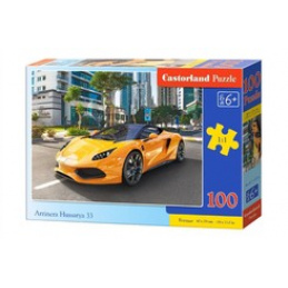 CASTORLAND Puzzle 100 de piese - Arrinera Hussarya