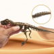 Aga4Kids Set pentru micii paleontologi T-Rex