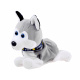 Husky interactiv ZA1333