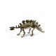 Set Aga4Kids pentru micii paleontologi Stegosaurus