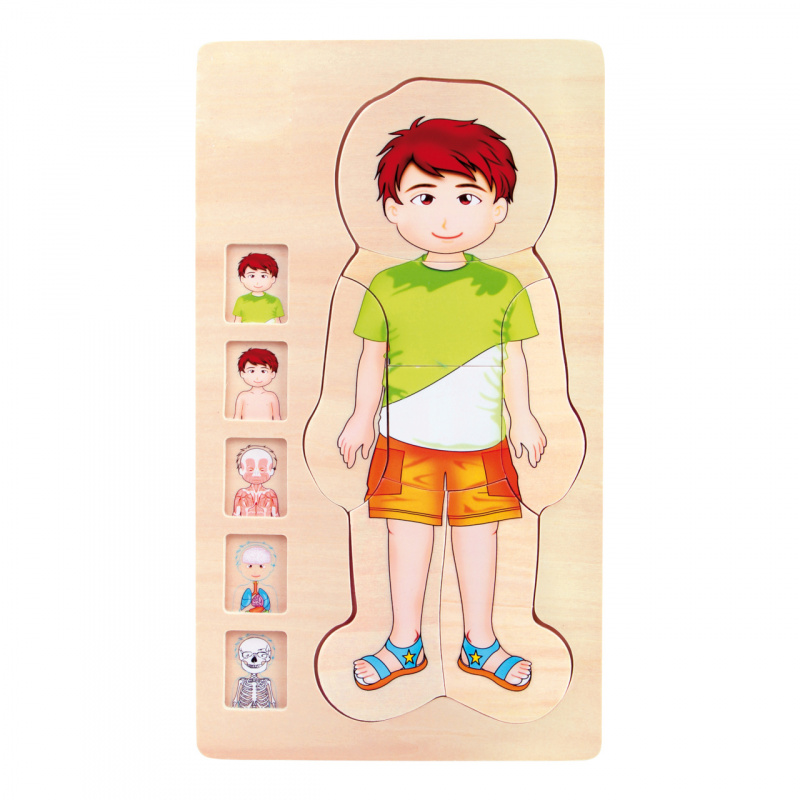 Small Foot Jucării din lemn puzzle anatomie Tim 2DZ168 - II. CALITATE