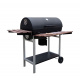 Aga Grătar de grădină PROFESSIONAL BBQ 3038A