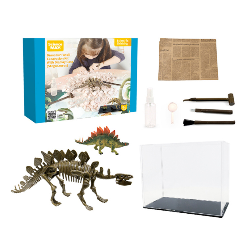 Set Aga4Kids pentru micii paleontologi Stegosaurus