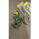 Aga4Kids Dinozaur interactiv T-Rex - 2DZ254 - 2. CALITATE