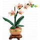 LEGO® Botanicals 10343 Mini orhidee