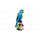 LEGO® Creator 31136 Papagal exotic