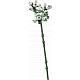 LEGO® Botanicals 10328 Buchet de trandafiri