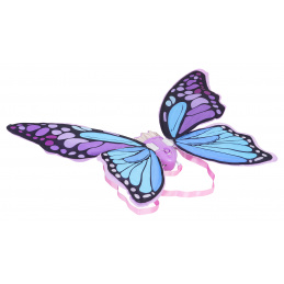 Aripile Fluturelui Violet