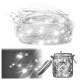 Aga LED Decorativ Fir 10m 100LED Alb Rece