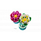 LEGO® Botanicals 11511 Nuferi
